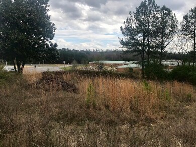 1170 New Hope Rd NW, Dalton, GA 30720 - photo 5