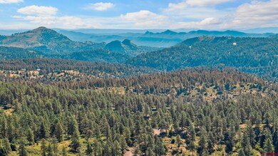 1102 Sheep Springs, Durango, CO 81301 - photo 2