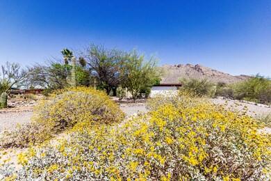 8760 N Yellowstone Ave, Tucson, AZ 85704 - photo 3