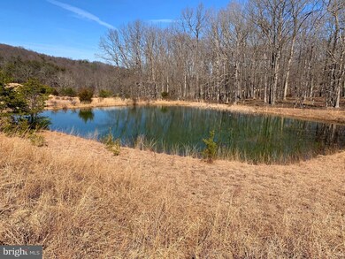 315 Beech Ln, Baker, WV 26801 - photo 5