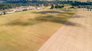 13505 E Gibbs Rd, Valleyford, WA 99023 - photo 7