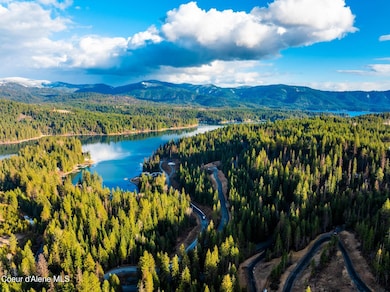 DJI_20250319081730_0993_D-HDR