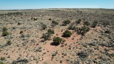 DJI_0058