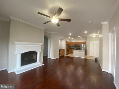 12929 Centre Park Cir unit 317, Herndon, VA 20171 - photo 6