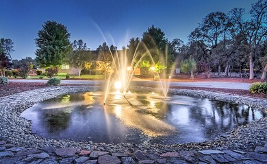 Beautiful Pond with Fountains