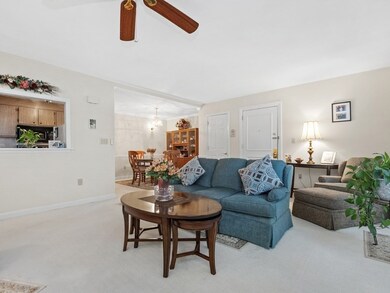 62 Jacqueline Rd unit 4, Waltham, MA 02452 - photo 5