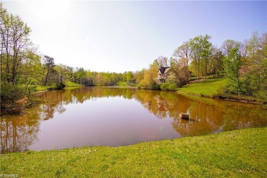 Roadside pond on Big Tree Road