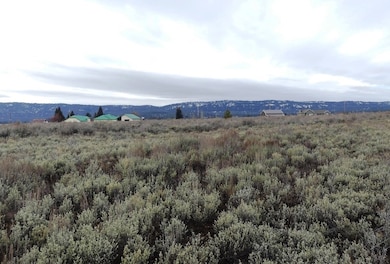 173 Brookdale Dr unit 60, McCall, ID 83638 - photo 6