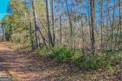 0 Haley Rd unit 10651240, Jackson, GA 30233 - photo 7