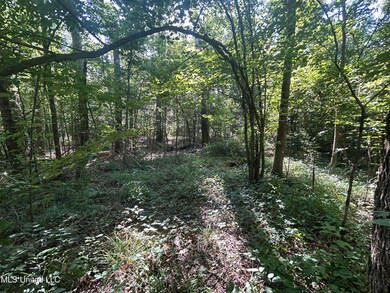 IMG_3577