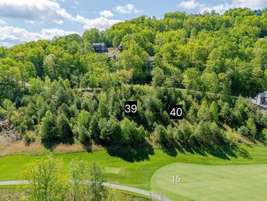 Bird's eye view of a local golf course