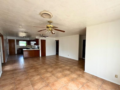1202 E San Carlos St, Laredo, TX 78041 - photo 6