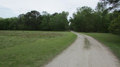IMG_2662