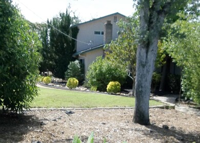 Front Yard
