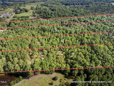 Tract 1 Benson Hardee Rd, Benson, NC 27504 - photo 6