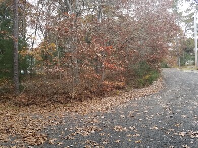 20181105_122836