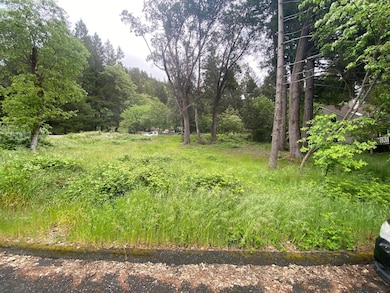 352 Tree Top Ln, Willow Creek, CA 95573 - photo 6