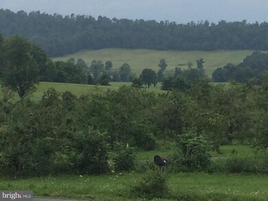 1680 Apple Pie Ridge Rd, Winchester, VA 22603 - photo 5