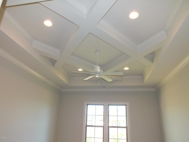Master Ceiling