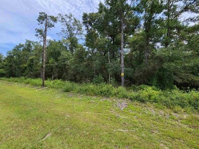 xx Friendship Ln, Crawfordville, FL 32327 - photo 6