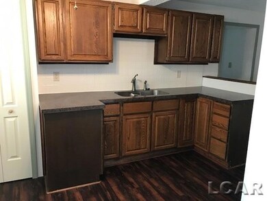 2200 E Gier Rd, Adrian, MI 49221 - photo 3