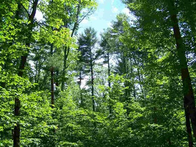 00 Borough Rd, Canterbury, NH 03224 - photo 4