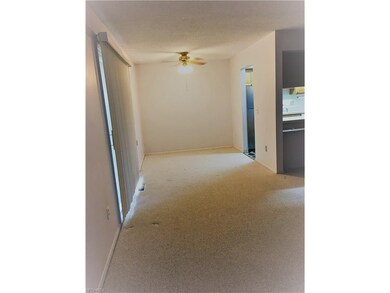 This is just another view of how open this space i