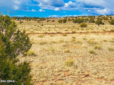 20240321005821611408000000-o (1)