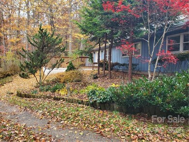 232 Dix Creek Chapel Rd, Asheville, NC 28806 - photo 5