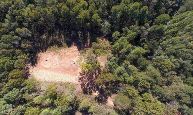 220 Purnell Ln, Bono, AR 72416 - photo 2