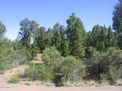 Red Deer Lot  Irene 009