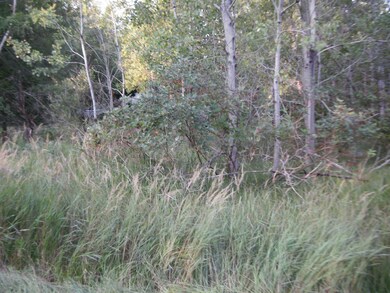 0 W Fairway St unit 18042237, Onekama Township, MI 49675 - photo 4