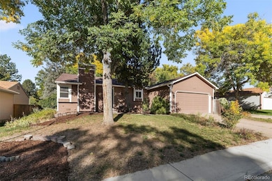 11537 Marshall St, Westminster, CO 80020 - photo 6