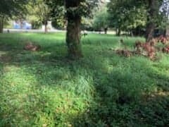 7019 Sidney St, Houston, TX 77021 - photo 4