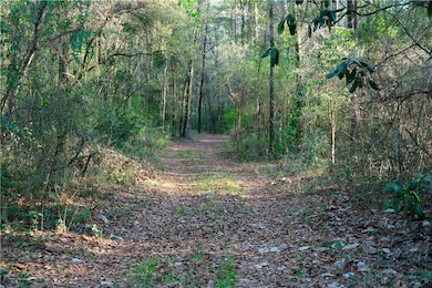 0 Dogwood Fork Rd unit 7347527, Bay Minette, AL 36507 - photo 7