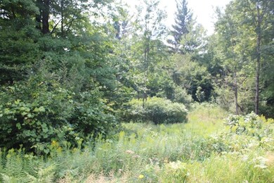 Parcel A-3 W Lily Lake Rd, Harrison, MI 48625 - photo 4