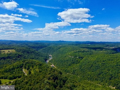 Lot 11 Ridge Rd, Mount Nebo, WV 26679 - photo 6