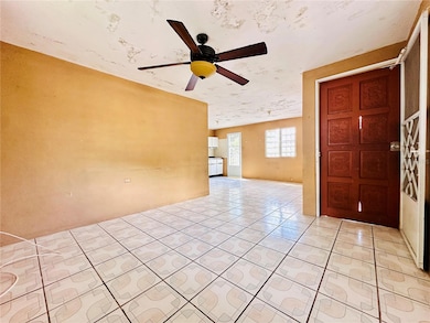 Carr 159 Sostre, Corozal, PR 00783 - photo 5