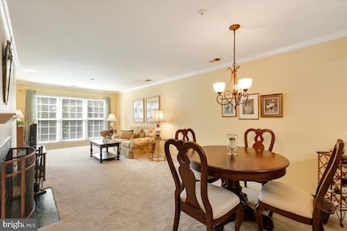 244 S Reynolds St unit 403, Alexandria, VA 22304 - photo 7