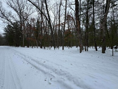 0 E Riverside Drive - C unit 25003541, Irons, MI 49644 - photo 4