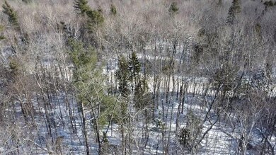 Lot 7 Curtis Farm Rd, Lincoln, ME 04457 - photo 2