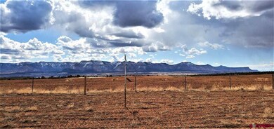 9630 Pueblo Ruins Rd, Cortez, CO 81321 - photo 2