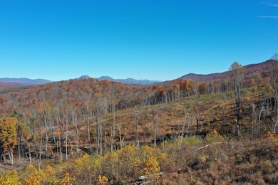 134 Ac. - S Buffalo Rd, Lexington, VA 24450 - photo 7