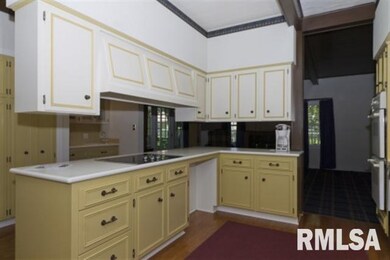 205 Lincoln Ave, Lincoln, IL 62656 - photo 6