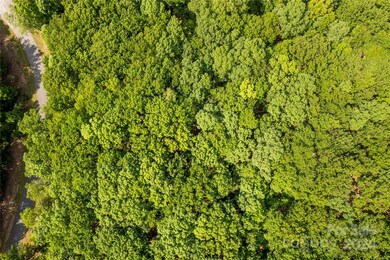 159 Pinnacle Trail, Denton, NC 27239 - photo 7