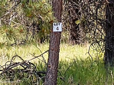 L4B1 N Sheep Springs Rd, Athol, ID 83801 - photo 5