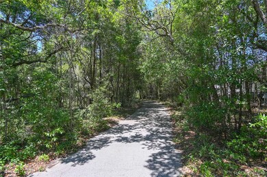 1180 E Mckinley St, Hernando, FL 34442 - photo 3