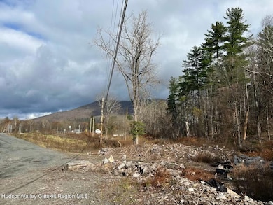 5485 New York 212, Shandaken, NY 12480 - photo 6