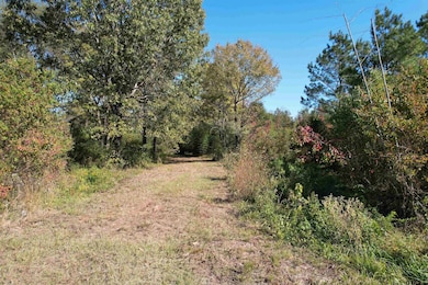 456 Marshall Ivy Rd, Huntington, TX 75949 - photo 4