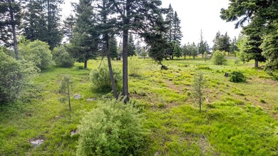 1420 Club Hill Blvd unit 4, McCall, ID 83638 - photo 3